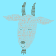 挂羊头卖羊肉的个人资料头像