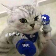 leexboo的个人资料头像