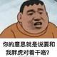 文艺胖虎123 · 深蓝L07车主·新提车头像