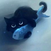 Palink的个人资料头像