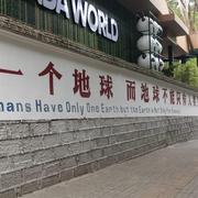 硅基生命哦的个人资料头像