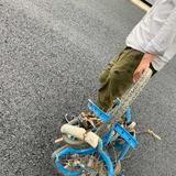 南充实市民头像