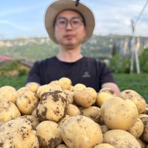 陈探长（正能量草根助农）头像