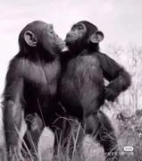 汉江小白龙的个人资料头像