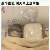 当时青春年少715头像
