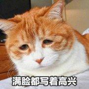 内置核能驱动器的个人资料头像