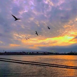 剪映小虾头像