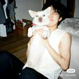 乖巧百灵鸟qVi头像