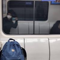 巷里833头像