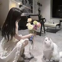 YLX和YYX头像