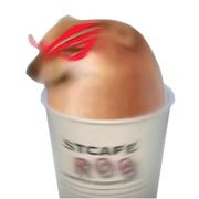 heyCHEEMS的个人资料头像