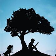 用户11442598009的个人资料头像