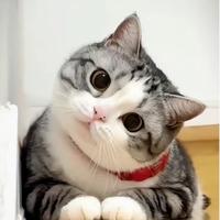 敏锐布莱恩8J4头像