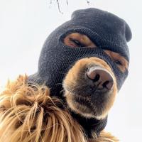 快乐北安5R头像