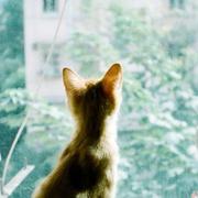 RobinTan2021的个人资料头像