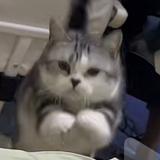用户97156231头像