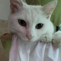 热血青年海登9X0头像