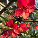 用户2490899735988头像