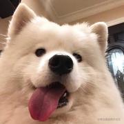 zwttt的个人资料头像