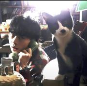 rookiefishs的个人资料头像