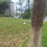 wowangz的个人资料头像