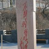 厦门炮哥头像