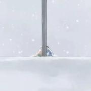 Shine361的个人资料头像