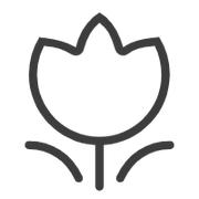 Hanry的个人资料头像