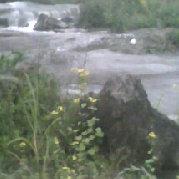 嘿猫不吃鱼的个人资料头像