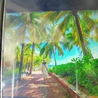 喵咪咩咩呜头像