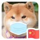 我叫RT的个人资料头像
