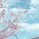 用户1138084243741头像