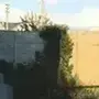 带薪拉翔的个人资料头像