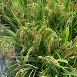 用户2354063160614头像