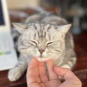 tryOx的个人资料头像