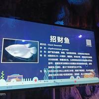 用户61595104020头像