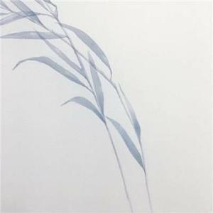 音乐梦相随头像
