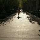 菜鸟先锋的个人资料头像