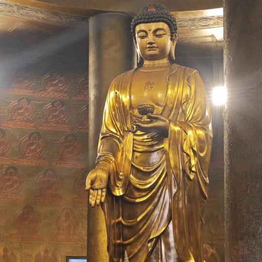 大哥哥dadidi头像