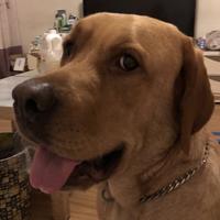 仓又嘉错dcb头像