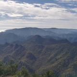 一叶知秋131359497头像