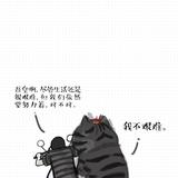 广增名车刘红杰头像