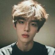 WebTao的个人资料头像