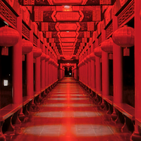 龙甲龘龘头像
