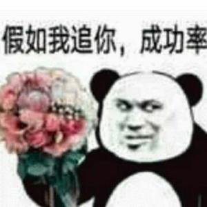 王者zx头像