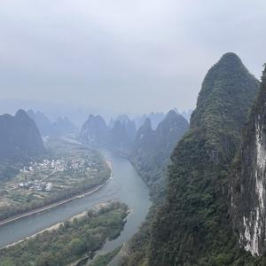 麦玲玲