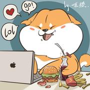 用户6370822469223的个人资料头像