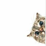 唔呜呜呜呜呜头像