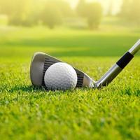 加油何加油头像