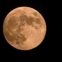 一曲良宵引头像